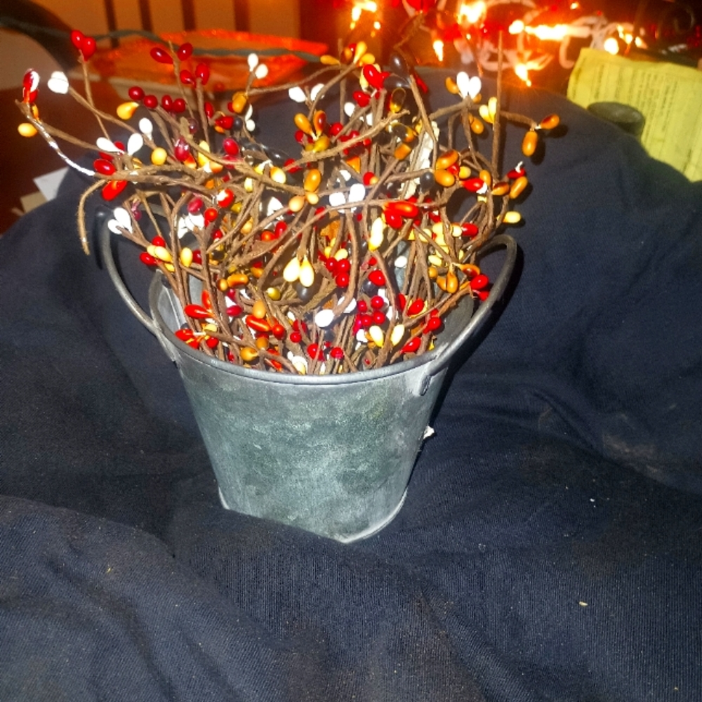 Tin with pip berries in it